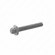 Screw