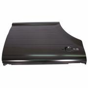 Door Outer Panel - Right, Rear,