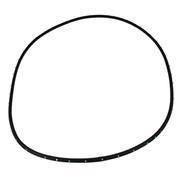 Door Seal Weatherstrip - Right, Rear
