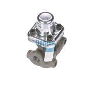 Pressure Protection Valve