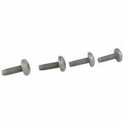 Screw