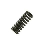 Exhaust Valve Spring for S60 14L DDEC VI EPA07