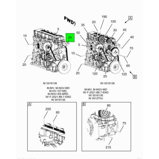 ファッション 通販 1842598C2 Navistar 8 RIBBED V- FAN BELT | International フェイスクリーム