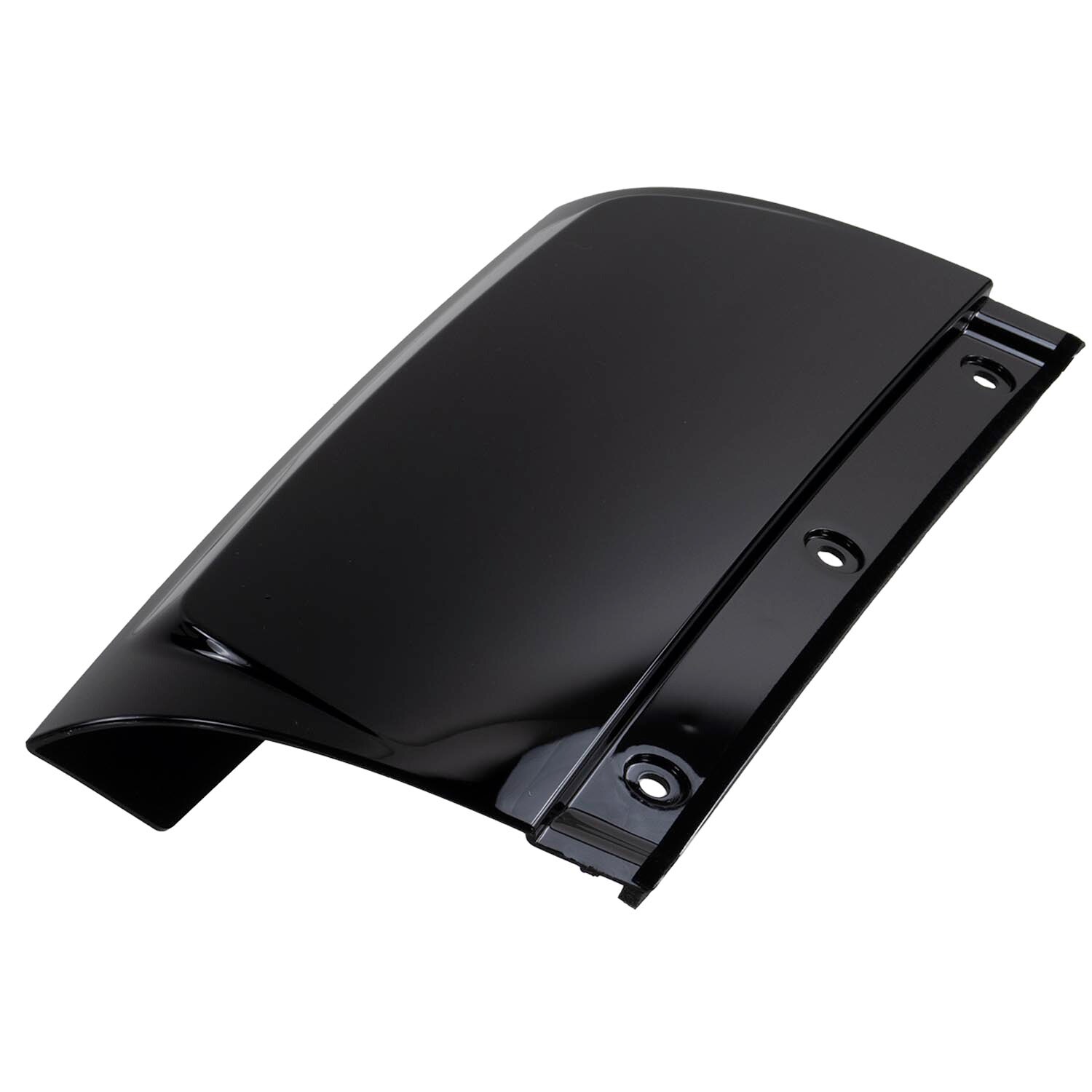 M1PZ78291A08AA Ford | Door Applique Molding - Right | Source One