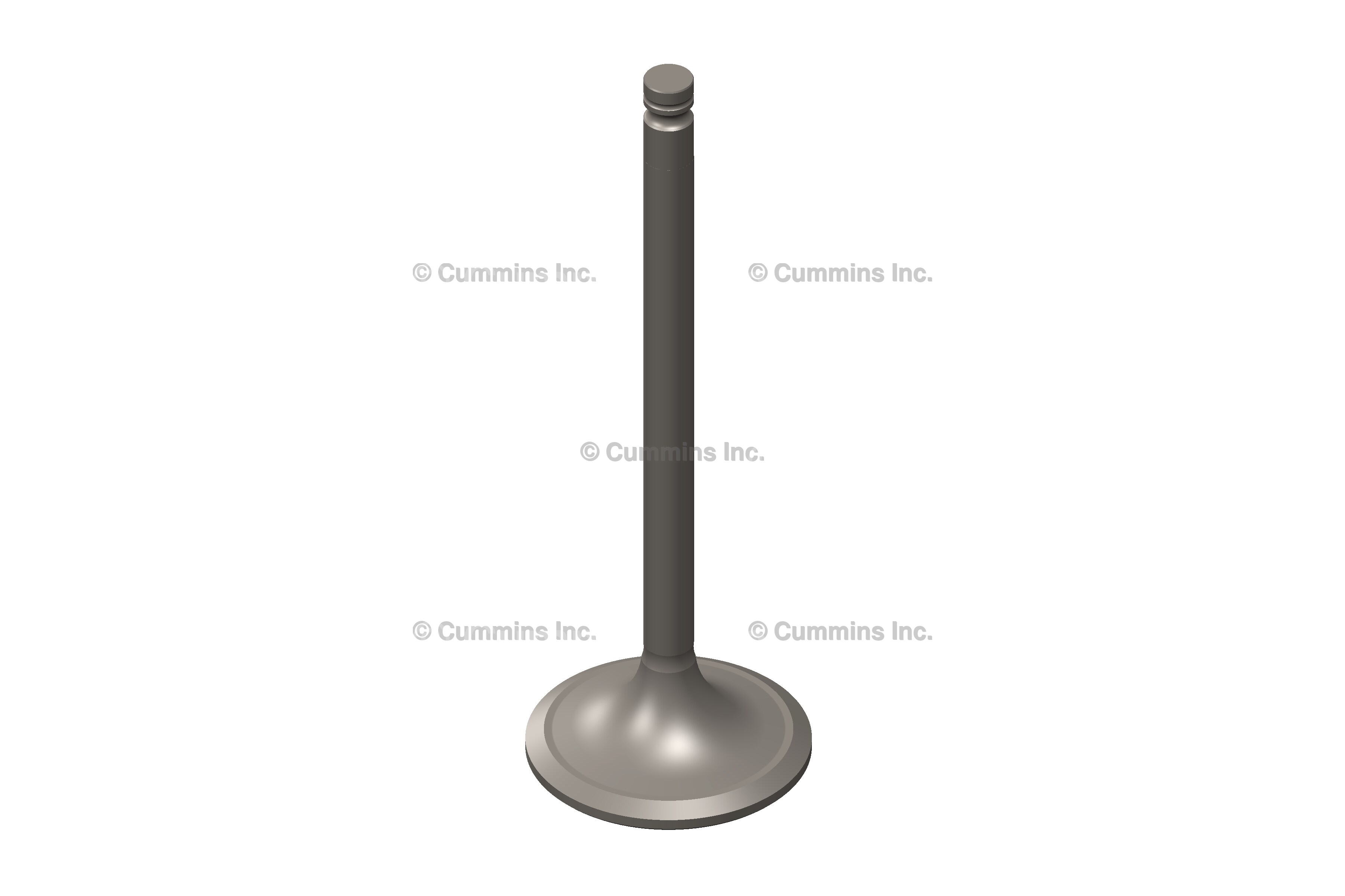 4981794-cummins-intake-valve-source-one-parts-center