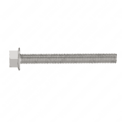 Hex Screw