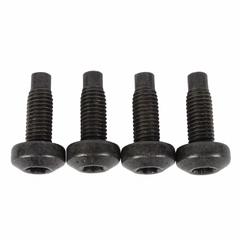 Seat Belt Lap and Shoulder Bolt Screw