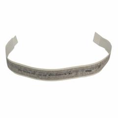 Trim Stripe Tape Decal - Right, Front