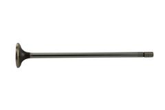 Exhaust Valve