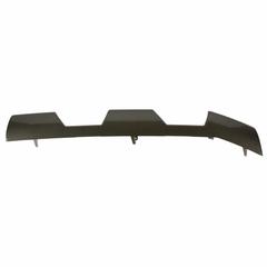 Grille Molding Insert - Front