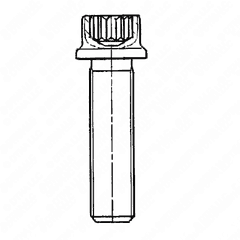 Engine Screw