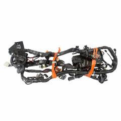 Engine Wiring Harness Wire (AT)