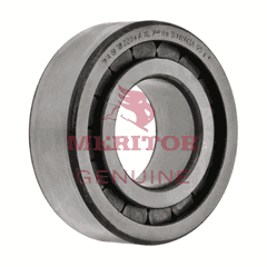 Roller Bearing