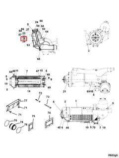 3633523 Image1