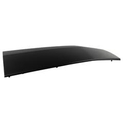 Exterior Door molding - Left, Rear (All Medium)