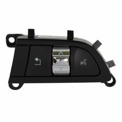 Cruise Control Switch - Right, Upper