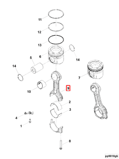 3698309 Image1