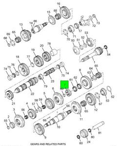 Figure 013-MCG