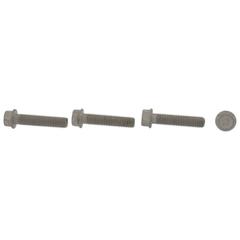 Starter Bolt Hex Head And Washer - 3.0L