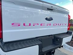 - 2025 Tailgate Letters - Pink