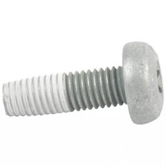 Screw