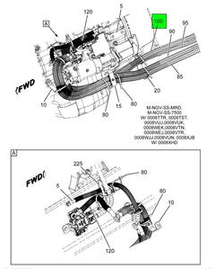 Figure 18C5Q