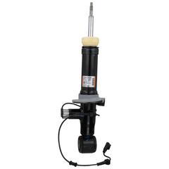 Suspension Shock Absorber - Left, Rear