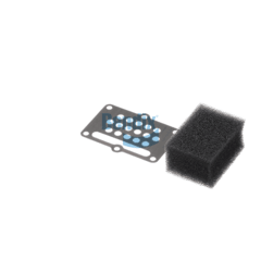 BX277157 Image 1