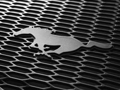 Mustang 2015-2023 Black 4pc All Weather Floor Liner Tray with Pony Logo