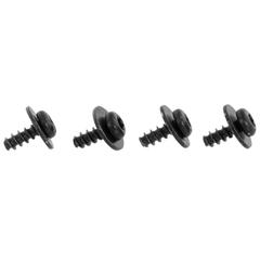 Screw And Washer Door Belt Molding