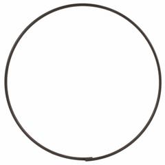 Snap ring (AT)