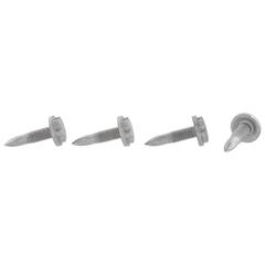 Fender Rail Bolt Screw (BEV)