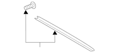 Sunroof Seal Shield - Front