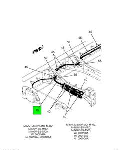 Figure 1CNZW