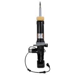 Suspension Shock Absorber - Right, Rear