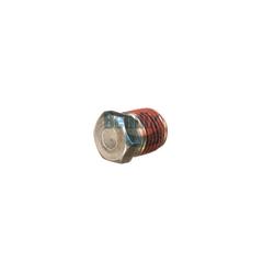 Pipe Plug