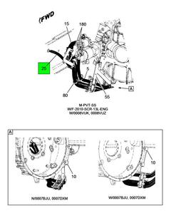 Figure 1F1WS