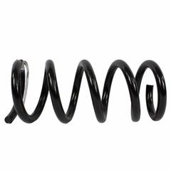 Coil Spring - Left, Right, Rear