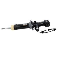 Suspension Shock Absorber - Right, Rear