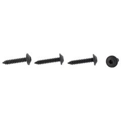 Interior Grab Bar Screw - 4.2 x 22MM