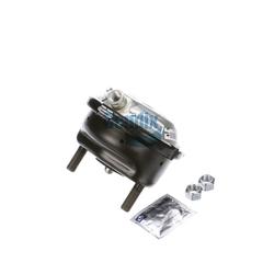 Brake Chamber (Disc)