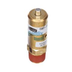 Safety Valve
