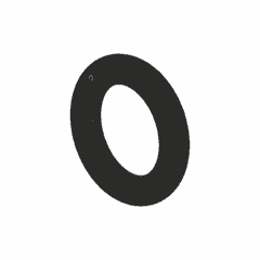O-Ring