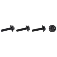 Screw and Washer - M5 x 22MM