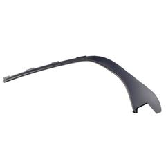 Door Window Molding Cover - Right, Rear