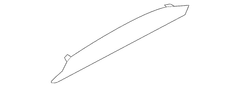 Instrument Panel Molding