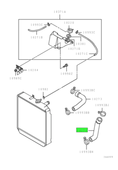 HOSE,RADIATOR,LWR 1