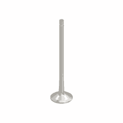 Exhaust Valve with Cylinder Head for OM904 Euro 4/5