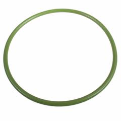 Fuel Pump Tank Seal