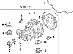 Differential Axle - Rear